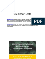 GIZ Timor-Leste PDF