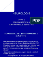 NEUROLOGIE.pptCURSUL2