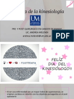 Dia Del Kine Um PDF