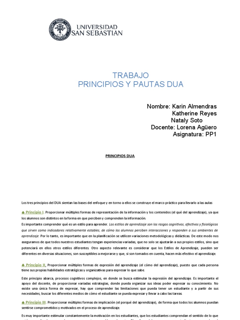 Principios Dua | PDF | Plan de estudios | Aprendizaje
