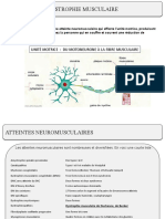 5b-Dystrophie Musculaire