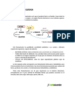 B037.Fermentacion Lactica PDF