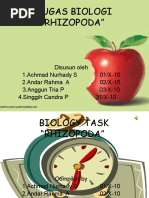Download Amoeba Presentasi Biologi 2 by Syifa Junisa SN46799826 doc pdf
