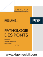 Résumé sur la Pathologie des ponts