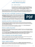 Como Identificar e Tratar Doenças em Peixes - Aquaterrário PDF