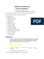 Cuestionario de Procesos Metabolicos Revisado