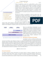 Filogenia Del Sistema Inmune