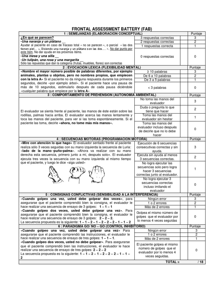 Protocolo Fab | PDF | Cognición | Conceptos psicologicos