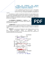 DESCRIBA COMO SE FORMAN LAS MICRO ESTRUCTURAS PRESENTES EN EL DIAGRAMA DE FE.docx