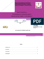 ZAIDA CEPEDA CI 9643836 DERECHO DE FAMILIA  MAPA CONCEPTUAL MATRIMONIO Y CONCUBINATOpptx.pdf