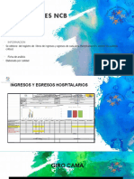 indicadores ncb.pptx