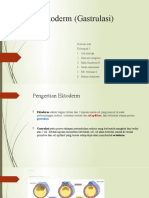 Ektoderm (Gastrulasi)