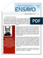 El ensayo - Guía Pablo Páramo.pdf