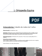 Caso 1 PDF