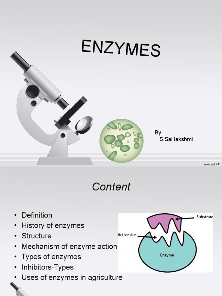 Enzymes: A Comprehensive Overview | PDF