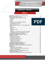 Motor Flex Ciclone