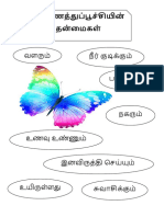 வண்ணத்துப் பூச்சியின் தன்மைகள் ஆண்டு 1