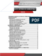 SISTEMA DE COMBUSTIBLE FLEX CICLONE.pdf