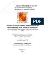 Mauricio Richard Trabajo Suficiencia 2019 PDF
