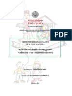 DDOMI MartinPastorElena Resumen de Tesis PDF