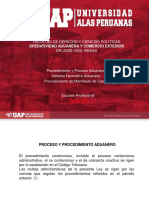 Procedimiento y Proceso Aduanero PDF