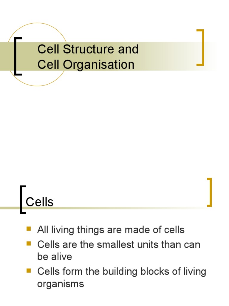 Cell Structure and Organization Guide | PDF | Cell Biology ...