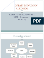 Fermentasi Minuman Alkohol