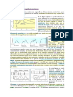Explicación Músculo Esquelético. Propiedades Mecánicas-2 PDF