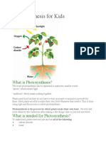 Photosynthesis Ncellularrespiration