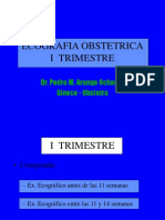 04 ECO Obstetrica IT