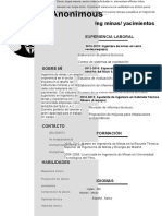 Curriculum Vitae Grupal