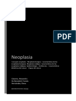 Neoplasia (1) Pay