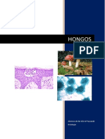 Hongos Histologia