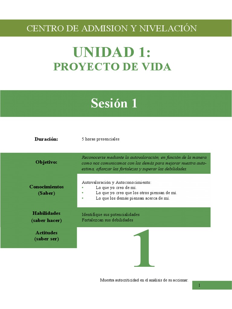 Taller de Proyecto de Vida | PDF | Autoestima | Conceptos psicologicos