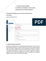 Guía metodológica para la simulación Químico producción (2) (1).docx