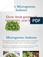 Grow Microgreens Indoors: Grow Fresh Greens All Year Long!