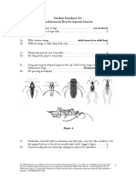 Student Handout #2-Dichotomous Key For Aquatic Insects