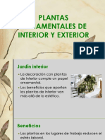Plantas Ornamentales de Interor y Exterior PDF