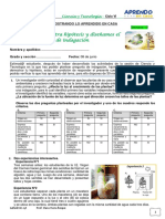 1ºy2º-CUESTIONARIO - 08 Junio