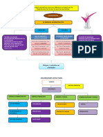 Organizador Grafico de Administracion PDF