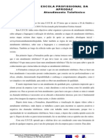 PRA de Atendimento Telefónico - Reflexão