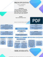 Mapa Conceptual Presupuestos