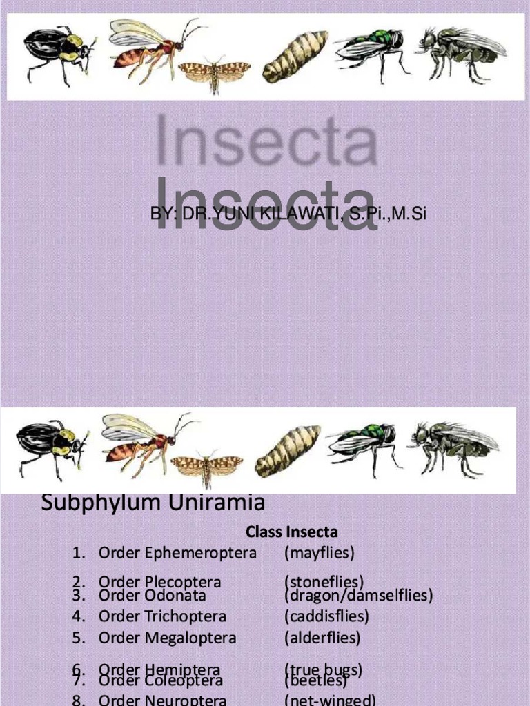 Docshare - Tips Insecta-Yuni | PDF | Pupa | Insects
