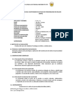 Modelo - Informe-Psicologico-Mips