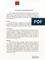 Antracnose PDF