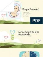 Etapa Prenatal