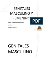 semiologia genitales