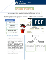 1° Reino Plantae Caracteristicas y clasificación GT.pdf