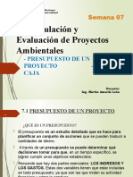 07.formulacion y Eval de Proyectos