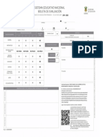 Boleta de Evaluacion 2010-2020